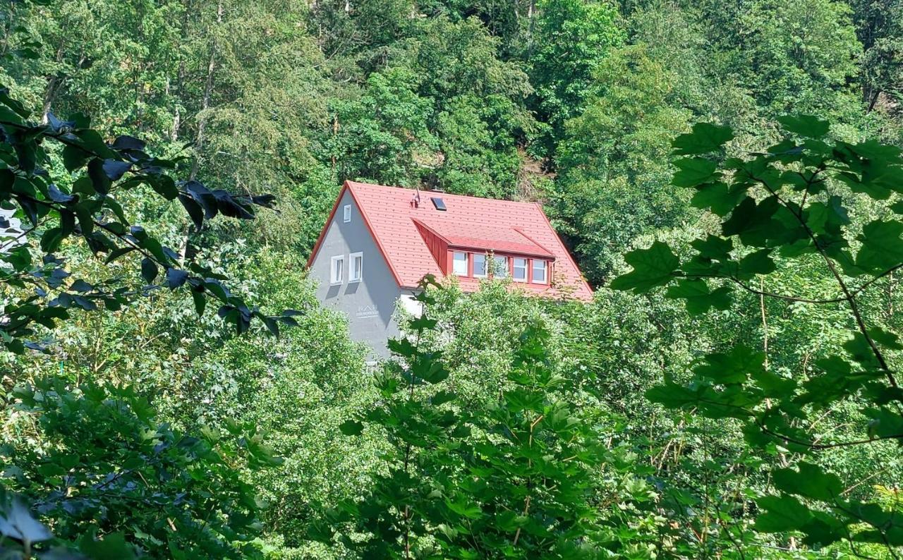 Am Quellenhaeuschen Lägenhet Naila Exteriör bild